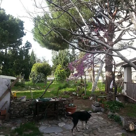 Ecer Privatunterkunft Kusadası