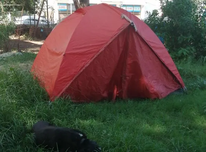Ecer Kusadası