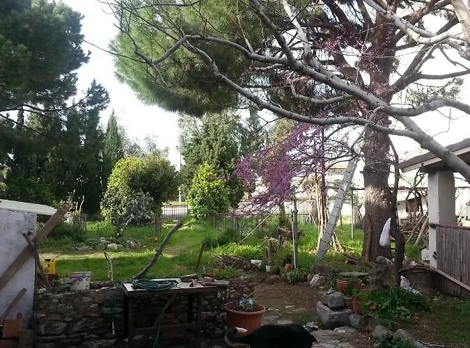 Ecer Kwatera prywatna Kusadası