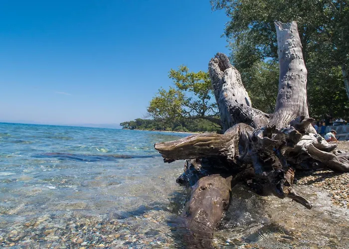 Kwatera prywatna Ecer Kusadası